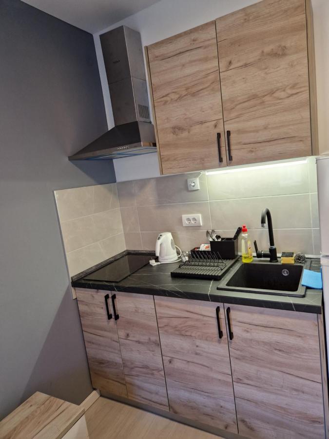 Sajmiste Sofia Apartment מראה חיצוני תמונה
